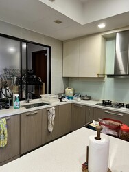 Four Seasons Park (D10), Condominium #350131721